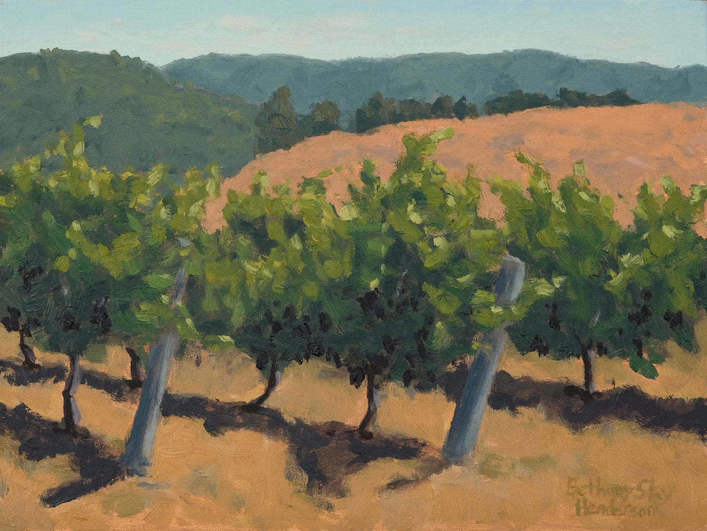 Edna Valley Vines