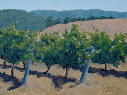 Edna Valley Vines