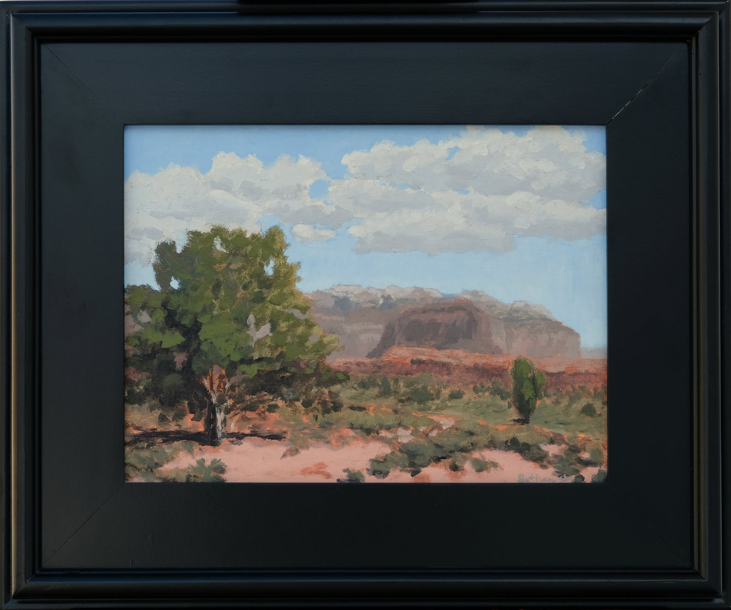 Needles District Camping
