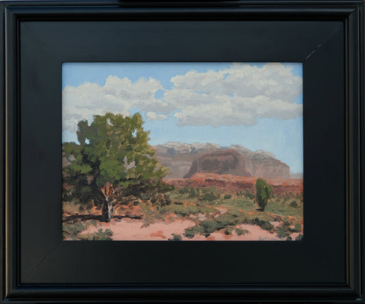 Needles District Camping