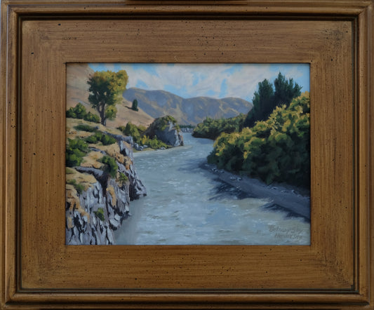Shotover River